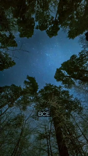 "Маленький джентльмен" по мотивам сказки Экзюпери "Маленький принц"