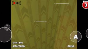 КАК ПОПСТЬ НА СЕКРЕТНОЕ ПОЛЕ В СУПЕР МЕДВЕДЬ АДВЕНЧЕР