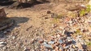 Изменения на участке.