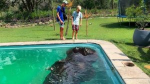 80 невероятных моментов на заднем дворе.