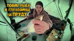 Сутки на льду, ловля подлещика в комфорте на пруду в Нытве.