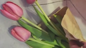 VLOG посадили цветочки на рассаду. Хозяйничаем по дому.