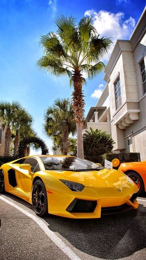 первый стрим в моей жизни