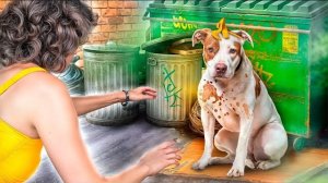 Богатая девочка приютила собаку! Гаджеты для домашних животных!