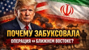 Венгры передали привет Зеленскому вместе с головой свиньи. #новости #украина #россия