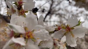 Одно неверное слово в это воскресенье перечеркнет ваши следующие девять лет.