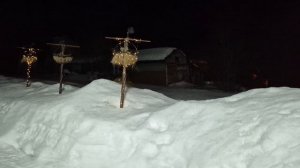 (1239) Лиса приходит в гости. Март 2026