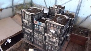 Быстрое приготовление компоста за сезон без затрат и труда