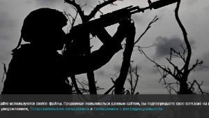 Сержант Березин уничтожил рой дронов ВСУ огнем из стрелкового оружия