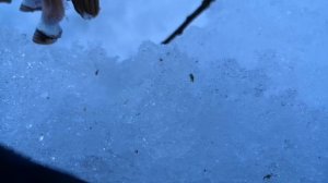 Шляйх сериал „ОбЛиК дЕмОнА💔😈” 4 серия: поиски🔎🤔
10 лайков-продолжение💌