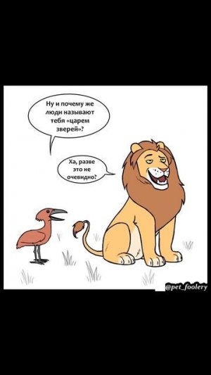 Монстр и самолет