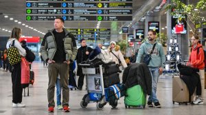 Жительница Намибии погибла при попытке сделать селфи с раненым слоном