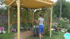 6 соток 30 июля 2021 год. Хроника. Видео укладки плитки в плейлисте "Постройки моими руками".