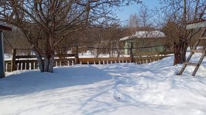 Мы снова на даче. Продаю участок.