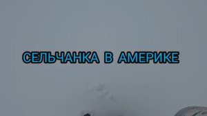 Сельчанка в Америке / МОЯ ЖИЗНЬ В АМЕРИКЕ