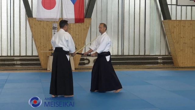 8.Aikido Ken Tai Ken Shomen Uchi Ikkyo Omote, Shishiya Sensei Pilsen Oktober 2018