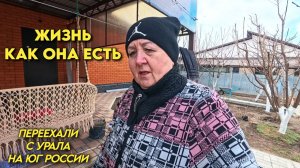 1103 Ремонт мебели своими руками/Подкормка деревьев/Жизнь семьи на юге