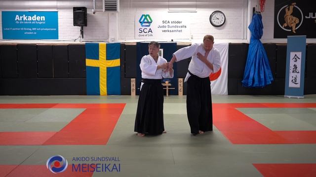 3.Aikido Ai Hanmi Nikyo & Sankyo Yodan Ura, Shishiya Sensei Sundsva