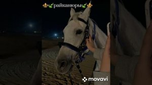 Красивая песня для молодежи🤌😮💨