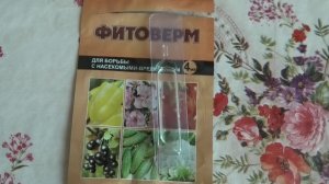 9-14 03 26г о фитоверме.Ампельный томат