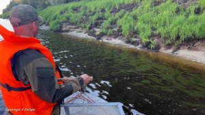 Наловили щуки