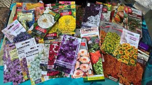 ШО, опять Покупка семян Снова не удержалась Море цветов