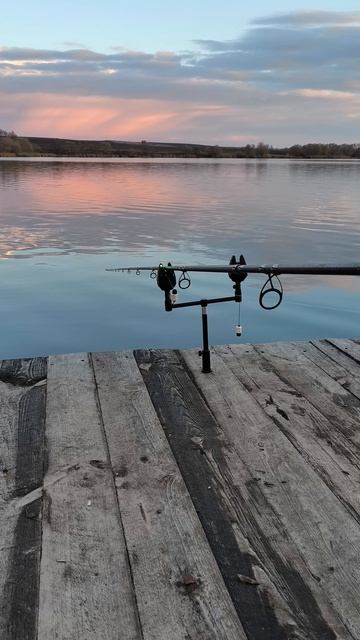 Поклёвка карпа по холодной воде