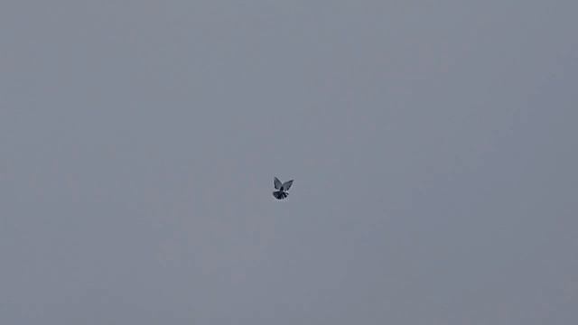 10389927692874 (1) смотреть онлайн