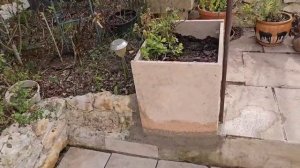 3 марта 2026. Потихонько отхожу от болезни.