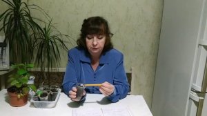 Выращивание перца от А до Я