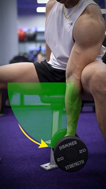 Seated Bicep Curls DB | Сгибания на бицепс сидя в упоре на ногу