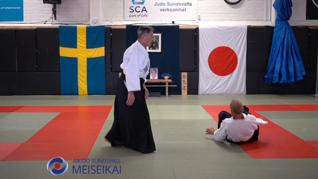 19.Aikido Gyaku Hanmi, Iriminage, Shihonage, Shishiya Sensei Sundsv