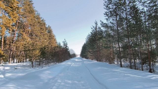 Солнечный день в зимнем лесу. ч.9. Март 2026 смотреть онлайн