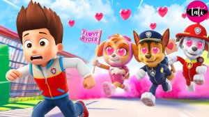 Щенячий патруль и Маршалл. Залипательное видео. Мультфильм для детей и малышей. Анимация 379