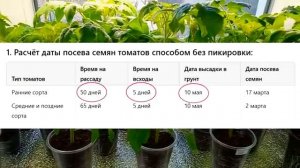 Точная дата посева томатов на рассаду в 2026 году 🌱 Когда сеять помидоры для крепкой рассады