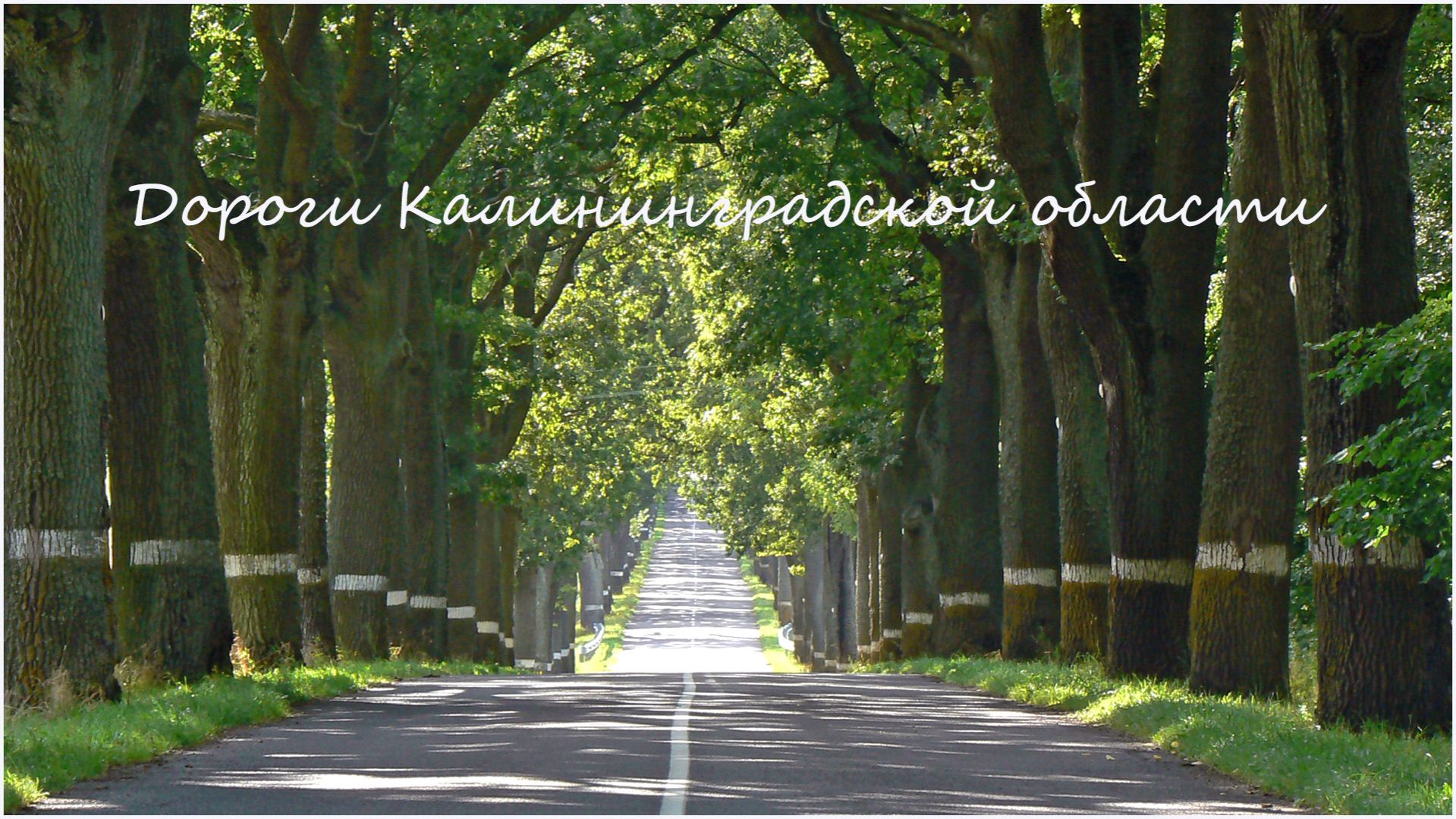 Дороги Калининградской области
