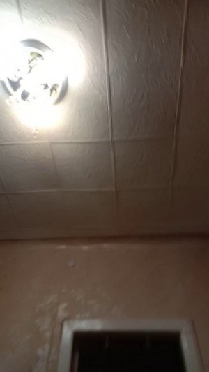 video_20260314_230338.mp4