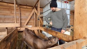 Спасли участок от затопления. Делаем ремонт своими руками. Строим дом в деревне.