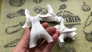 ТОМАТЫ. КРЕПКАЯ РАССАДА томатов и перцев без кассет