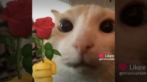 я не успела вылазить это на 8 марта пока
