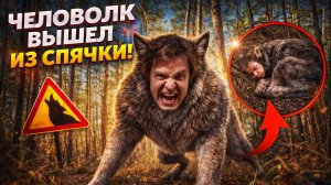 ЧЕЛОВОЛК ВЫШЕЛ ИЗ СПЯЧКИ
