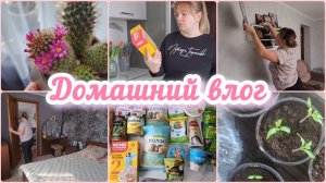 ПОКУПКИ🛍НАШИ НОВОСТИ🤔УБОРКА 🧼🫧🪣