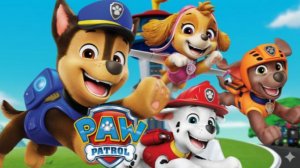 Щенячий Патруль | Маршалл и Крепыш выполняют миссии по заданию Райдера | Щенячий патруль смотреть