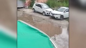 Уничтожил за Мгновение! Сражения Животных Снятые на Камеру!