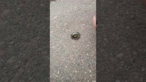 улиточки🥰