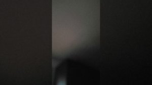 правильно ли я поступила?