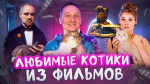 Любимые котики из фильмов