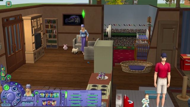 Коллекция The Sims 2 Наследие