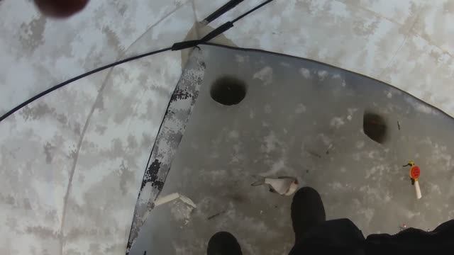 Рыбалка на Финском заливе. Отчёт за 14.03.26. Казакова. Рыба есть.