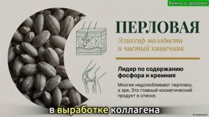 Каша, которая не только чистит организм, это должен знать каждый человек